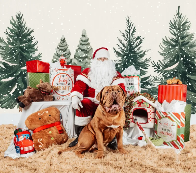 Pet photgraphy 2000 opt