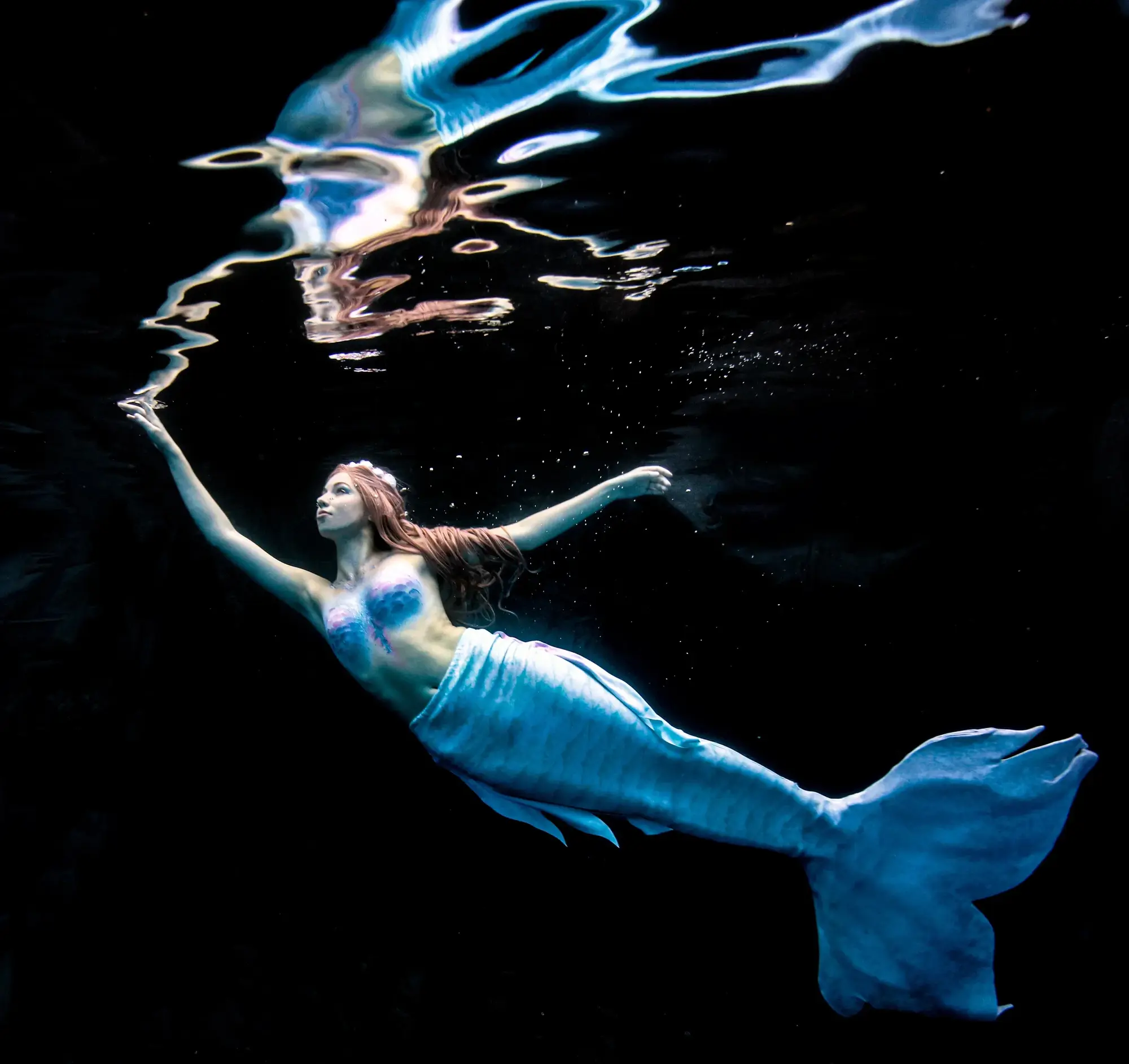 Underwater photography 800 opt